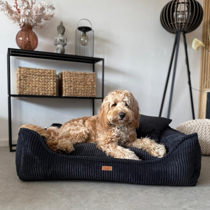 Buy [Product name] – [product type] for pets | Sissy’s Pets Place