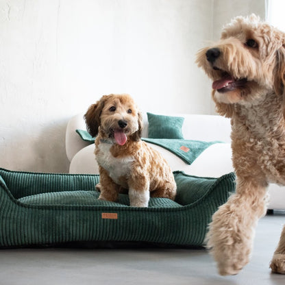 Buy [Product name] – [product type] for pets | Sissy’s Pets Place