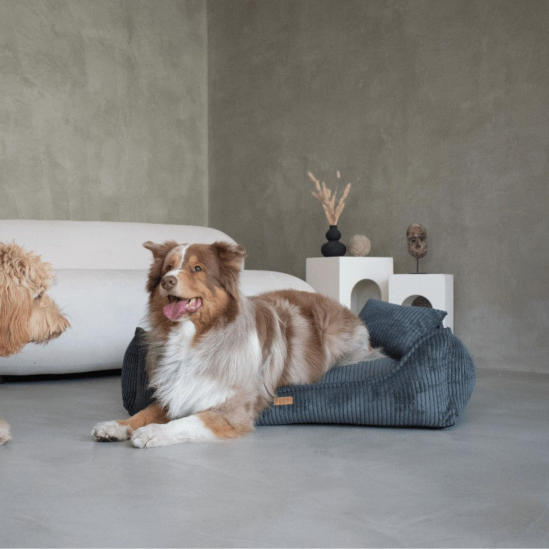 Orthopedic Dog Bed "MILANO" Dark Grey - Dog beds - Sissys Pet Place