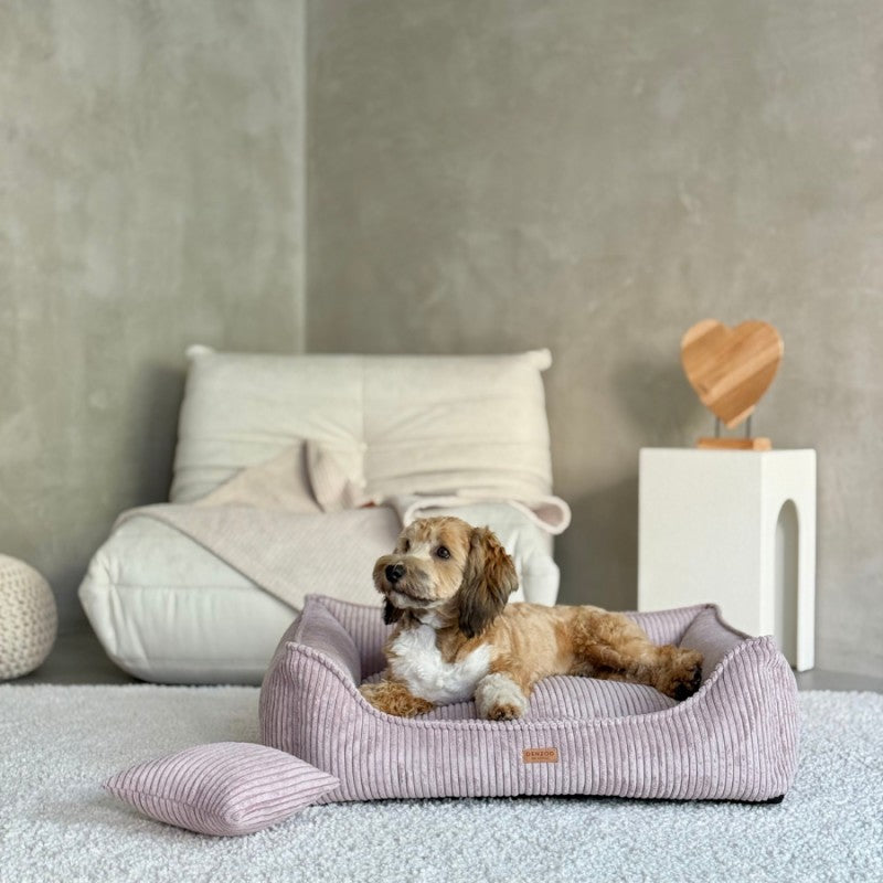 Buy [Product name] – [product type] for pets | Sissy’s Pets Place