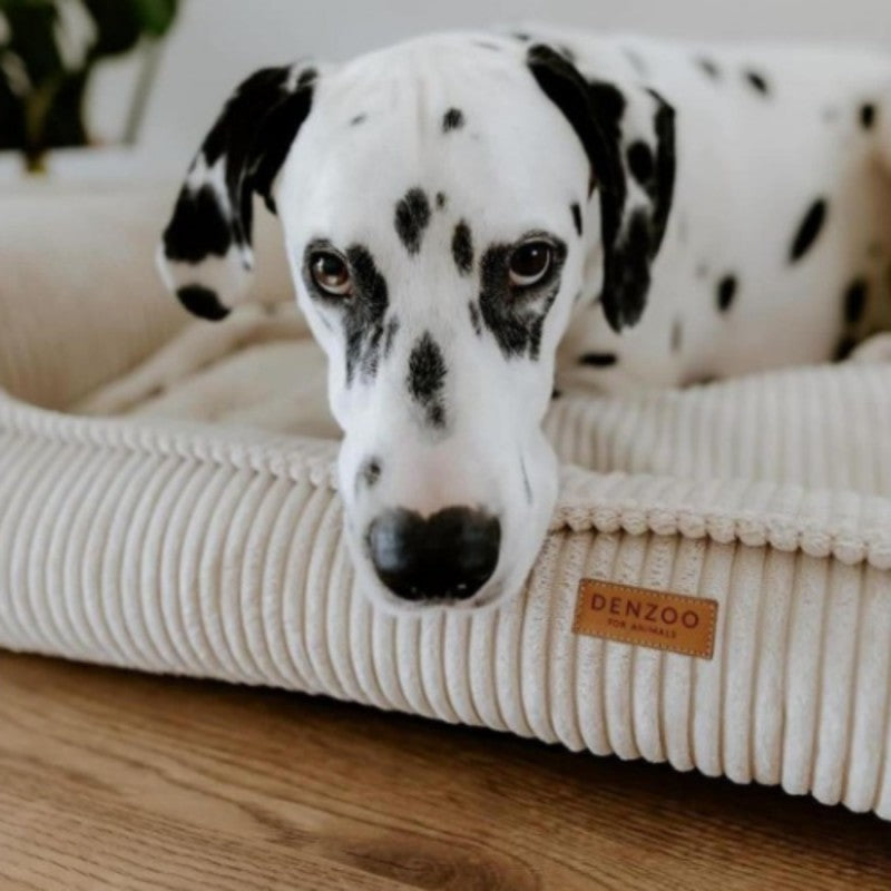 Buy [Product name] – [product type] for pets | Sissy’s Pets Place