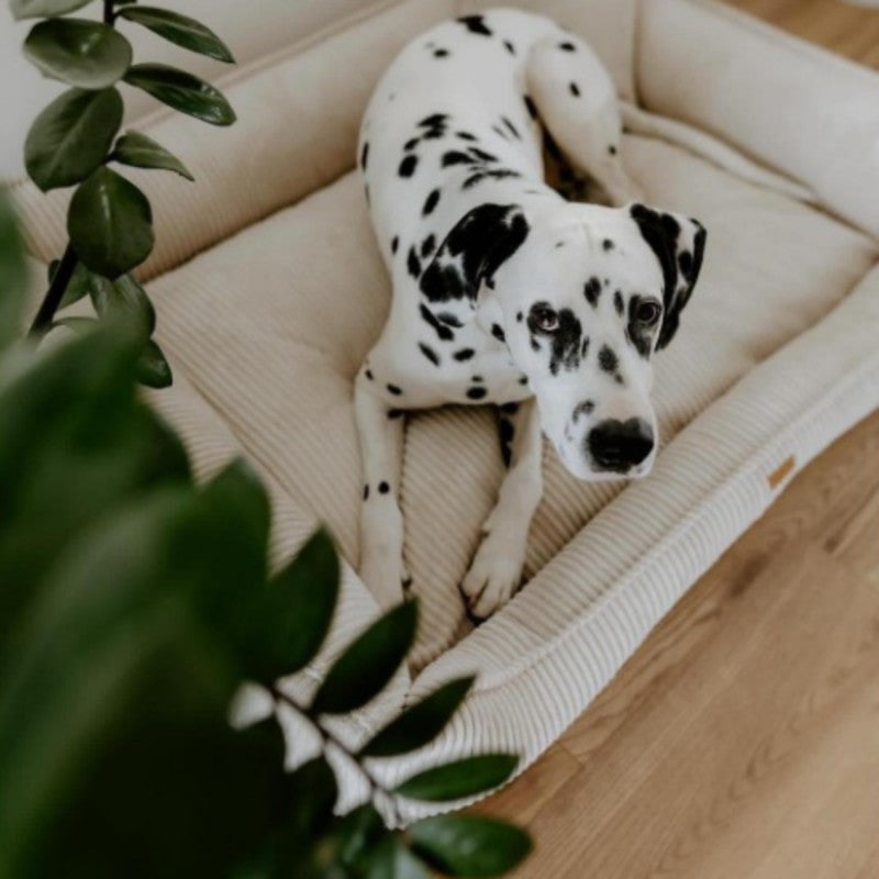 Buy [Product name] – [product type] for pets | Sissy’s Pets Place