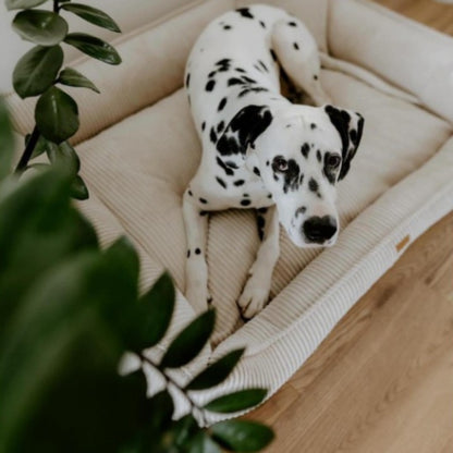 Buy [Product name] – [product type] for pets | Sissy’s Pets Place