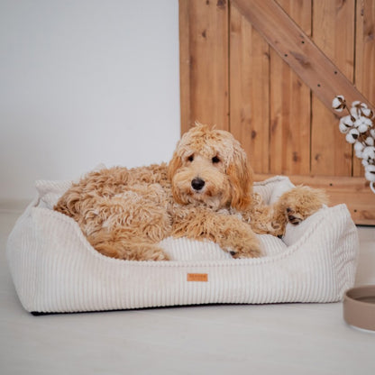 Buy [Product name] – [product type] for pets | Sissy’s Pets Place