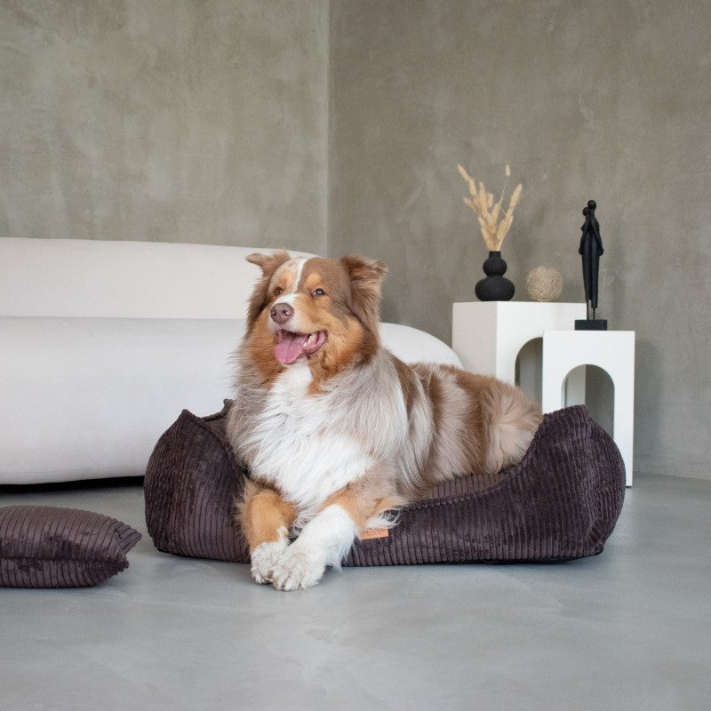 Buy [Product name] – [product type] for pets | Sissy’s Pets Place