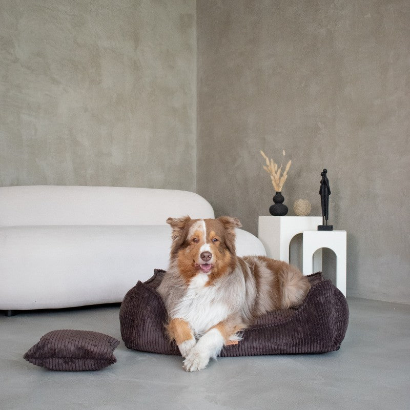 Buy [Product name] – [product type] for pets | Sissy’s Pets Place
