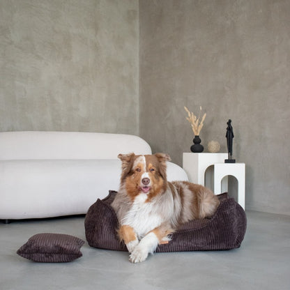 Buy [Product name] – [product type] for pets | Sissy’s Pets Place
