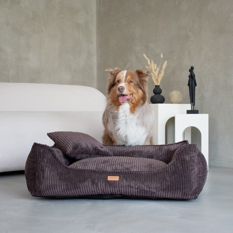 Buy [Product name] – [product type] for pets | Sissy’s Pets Place