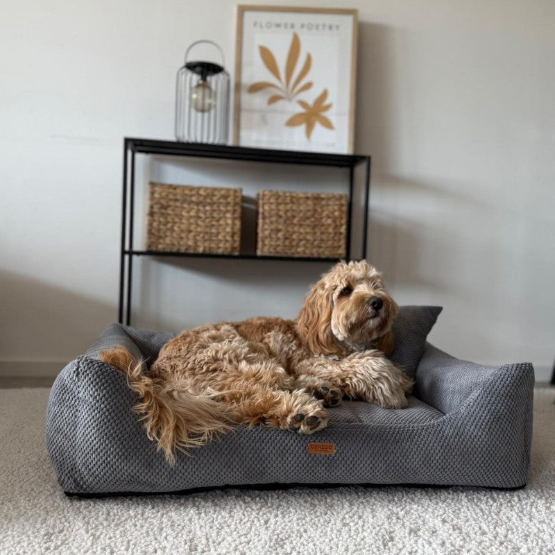 Orthopedic Dog Bed "PRATO" Dark Grey - Dog beds - Sissys Pet Place