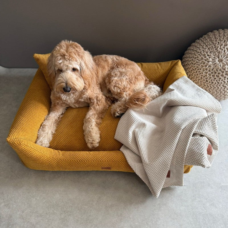 Orthopedic Dog Bed "PRATO" Mustard - Dog beds - Sissys Pet Place