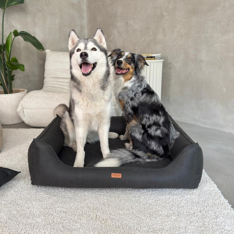 Orthopedic Dog Bed "BERGAMO" Dark Grey - Dog beds - Sissys Pet Place