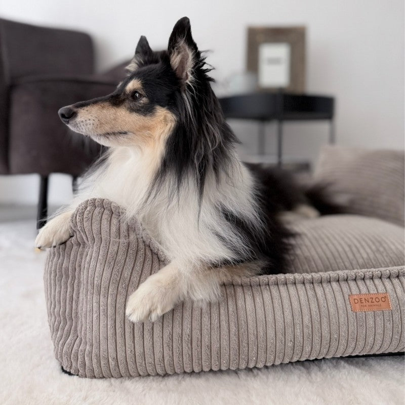 Orthopedic Dog Bed "MILANO" Capupuccino