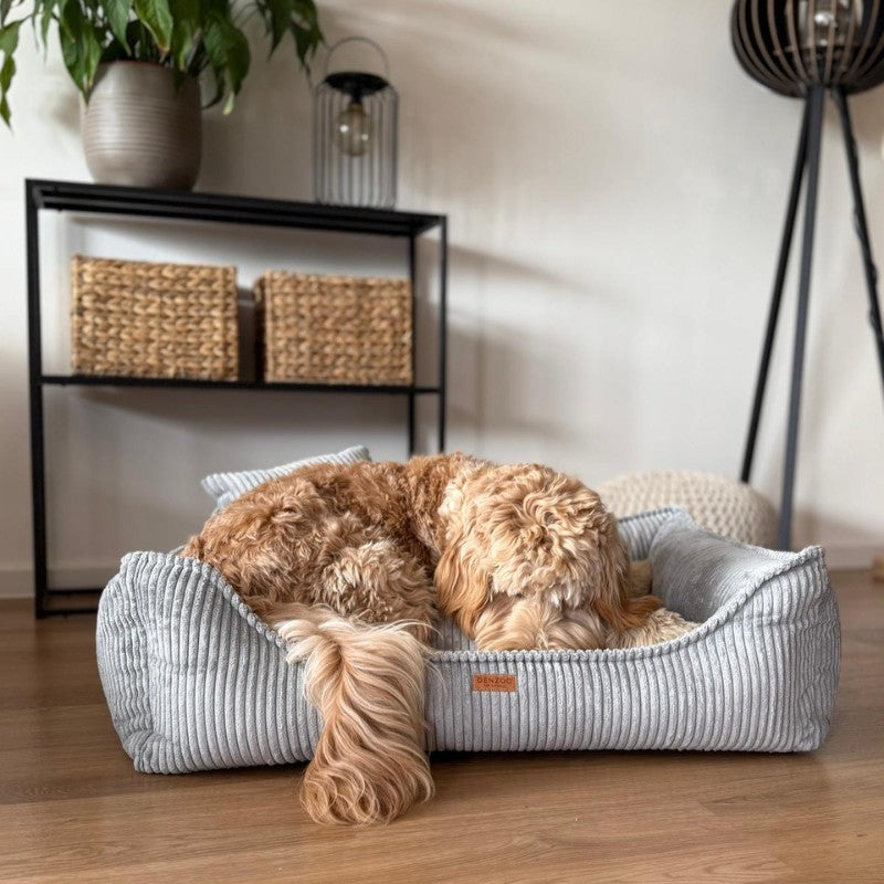 Buy [Product name] – [product type] for pets | Sissy’s Pets Place