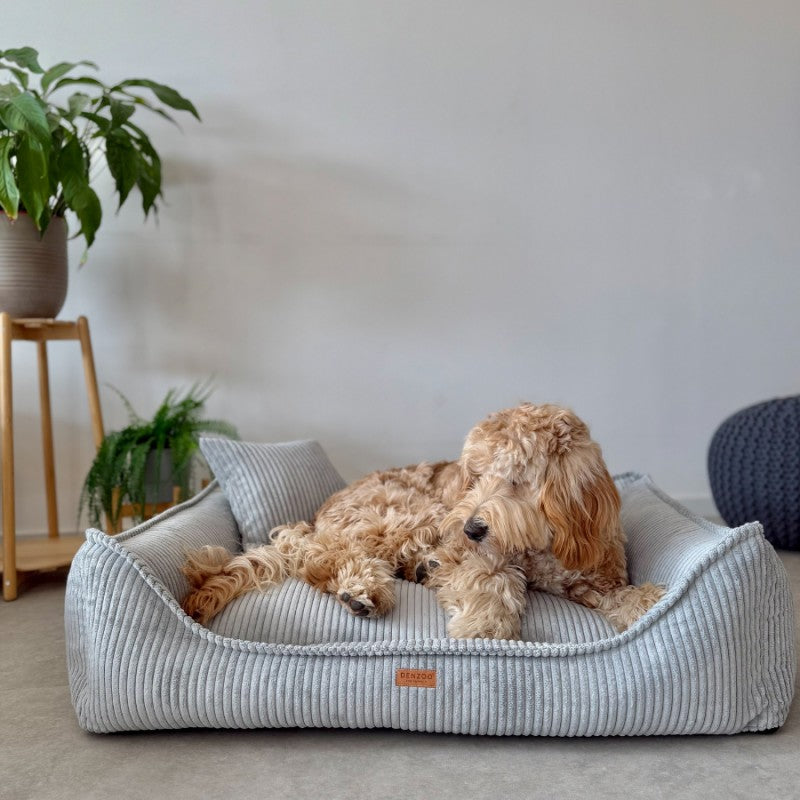 Buy [Product name] – [product type] for pets | Sissy’s Pets Place