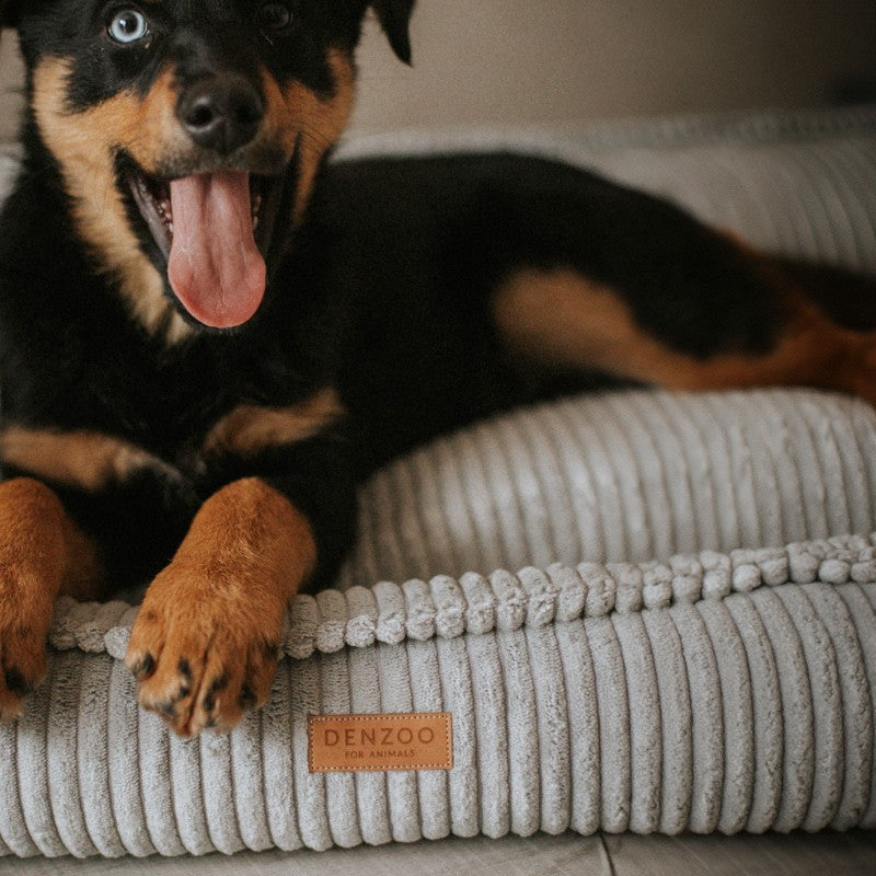 Orthopedic Dog Bed "MILANO" Grey - Dog beds - Sissys Pet Place