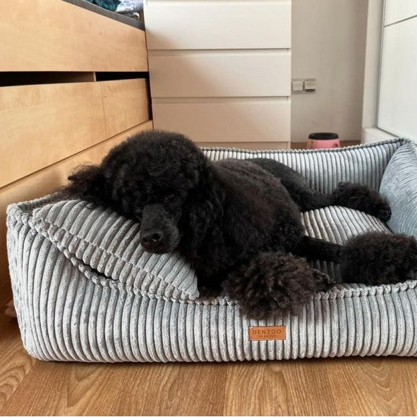 Orthopedic Dog Bed "MILANO" Grey - Dog beds - Sissys Pet Place