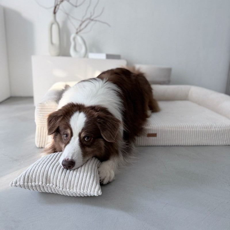 Orthopedic Dog Bed "PARMA" Beige