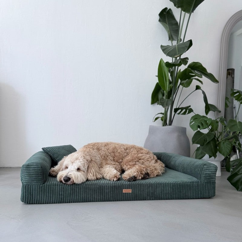 Orthopedic Dog Bed "PARMA" Bottle Green