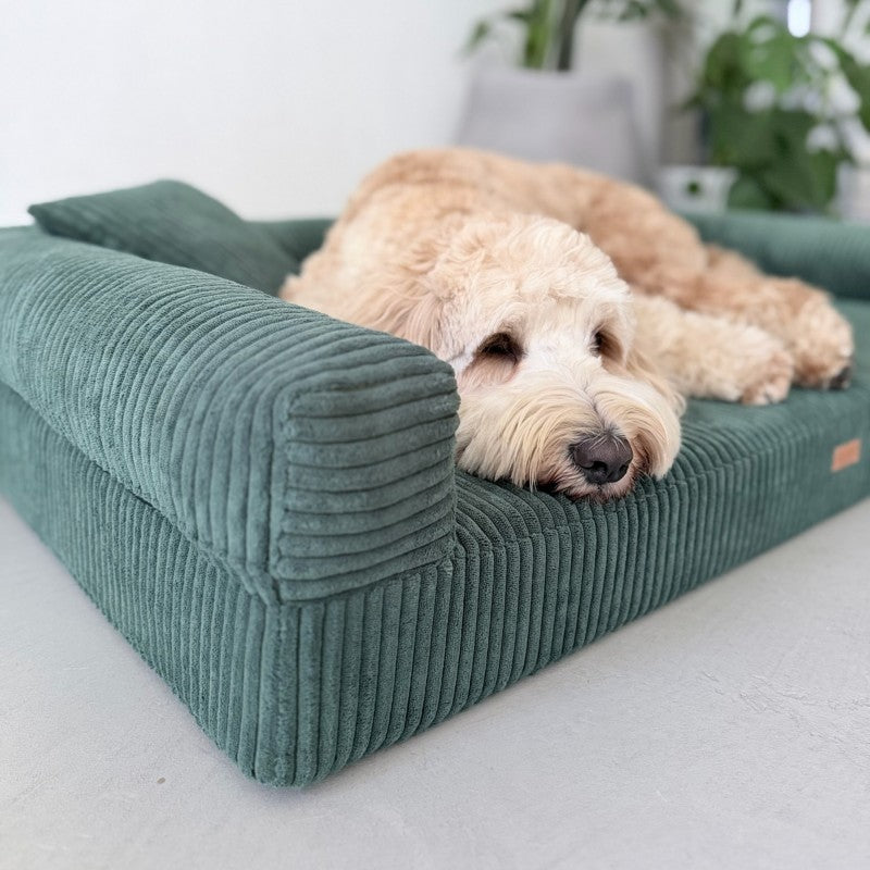 Orthopedic Dog Bed "PARMA" Bottle Green