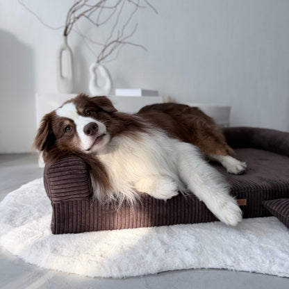 Orthopedic Dog Bed "PARMA" Brown