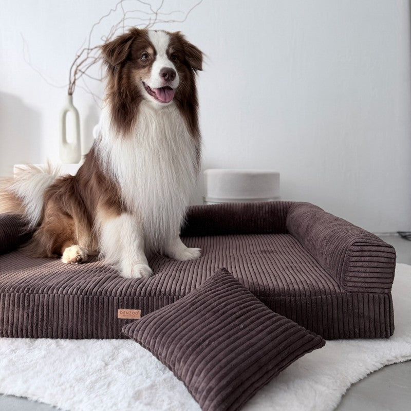 Orthopedic Dog Bed "PARMA" Brown