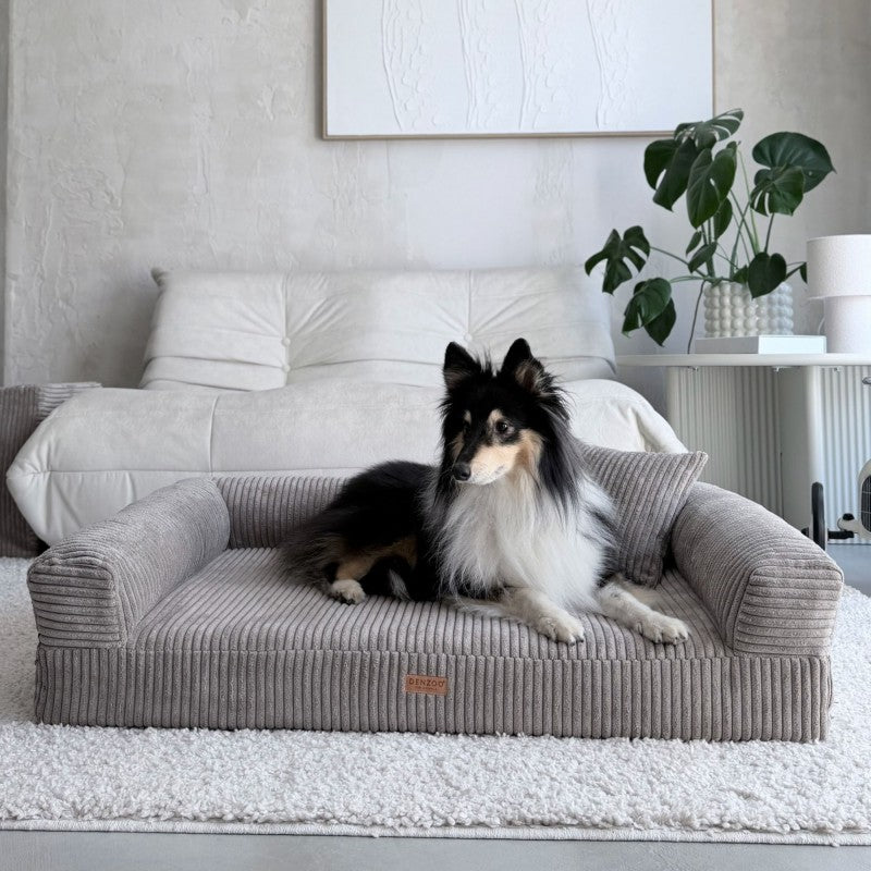 Orthopedic Dog Bed "PARMA" Cappuccino