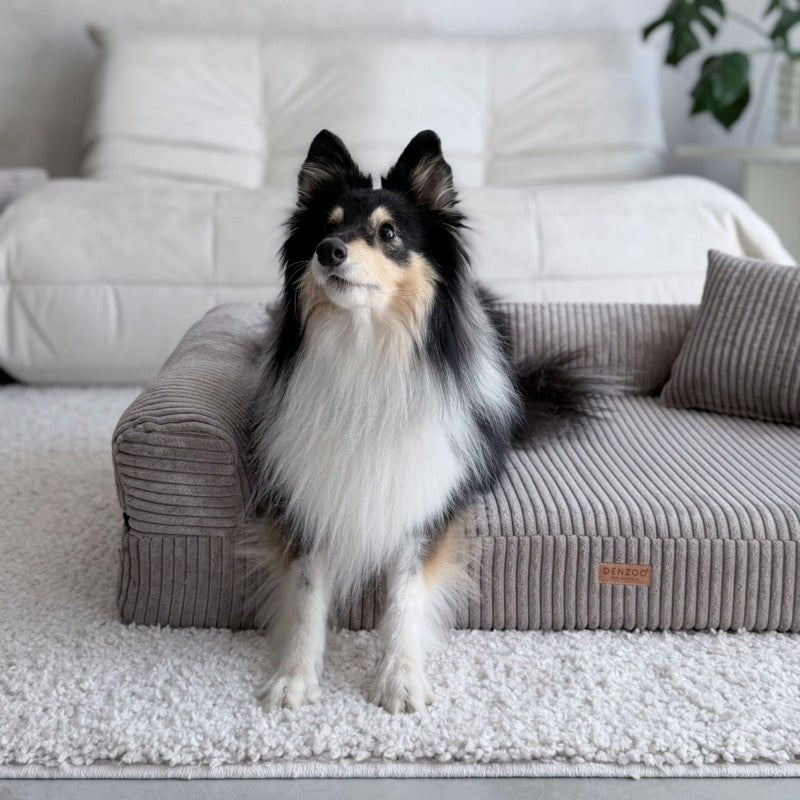 Orthopedic Dog Bed "PARMA" Cappuccino