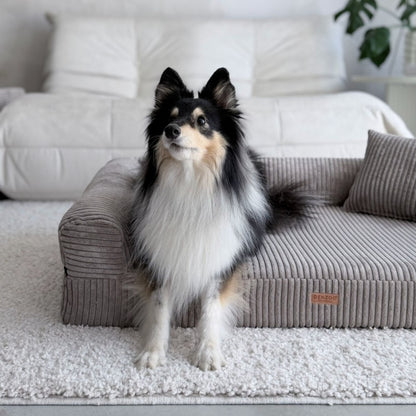 Orthopedic Dog Bed "PARMA" Cappuccino