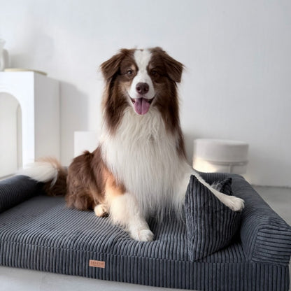 Buy [Product name] – [product type] for pets | Sissy’s Pets Place