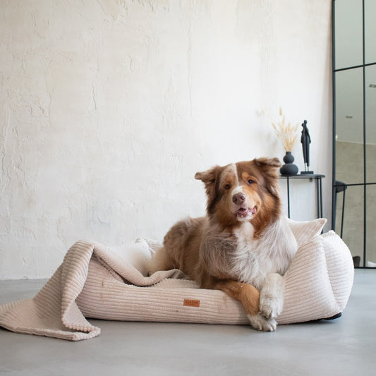 Orthopedic Dog Bed "RIMINI" Beige