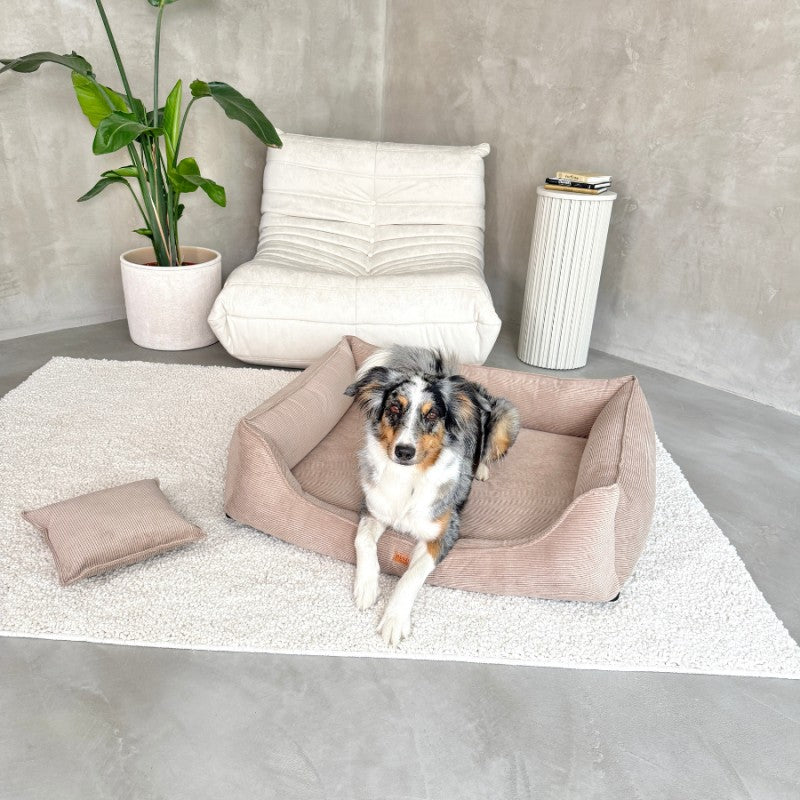 Orthopedic Dog Bed "TORINO" Dark Beige - Dog beds - Sissys Pet Place