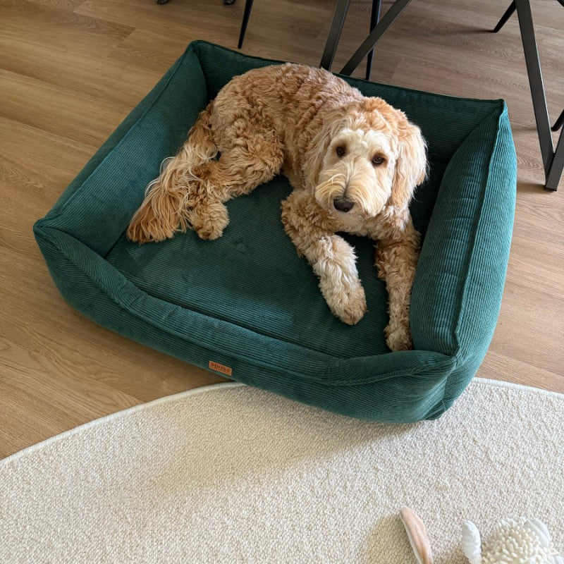 Orthopedic Dog Bed "TORINO" Bottle Green - Dog beds - Sissys Pet Place
