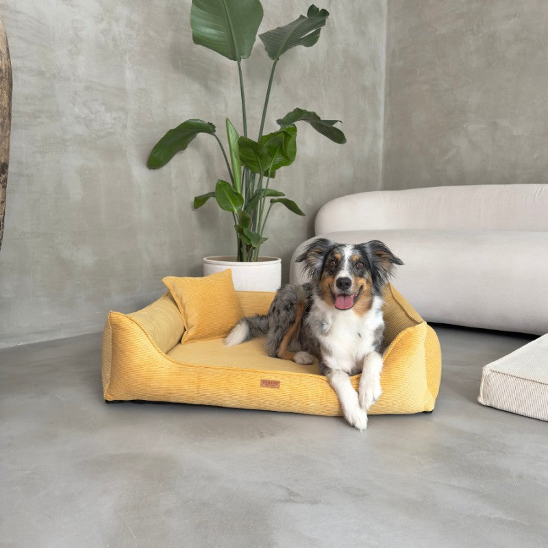 Orthopedic Dog Bed "TORINO" Mustard - Dog beds - Sissys Pet Place