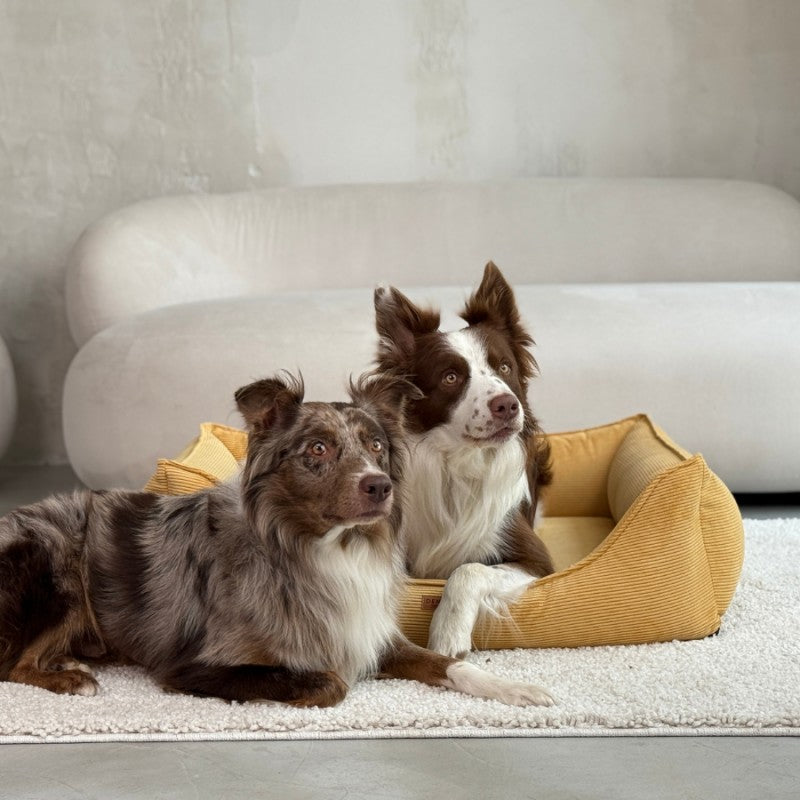 Orthopedic Dog Bed "TORINO" Mustard - Dog beds - Sissys Pet Place