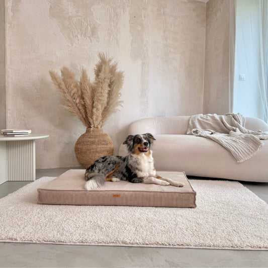 Orthopedic mattresses "Torino" Dark Beige - Dog beds - Sissys Pet Place